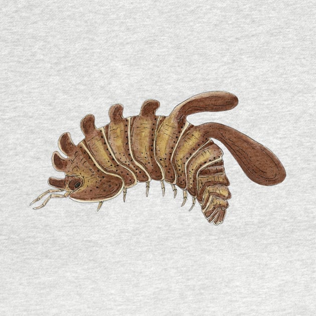 Stigmops howensis Isopod by paintedpansy